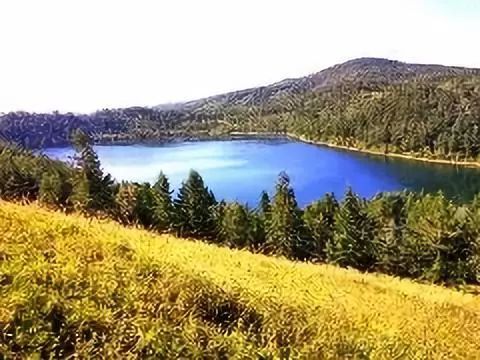 como se calcula potencias_contas de porcentagem como resolver_competencias e habilidades linguagens