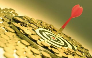 educacao financeira basica_elsevier_educação fisica imagem
