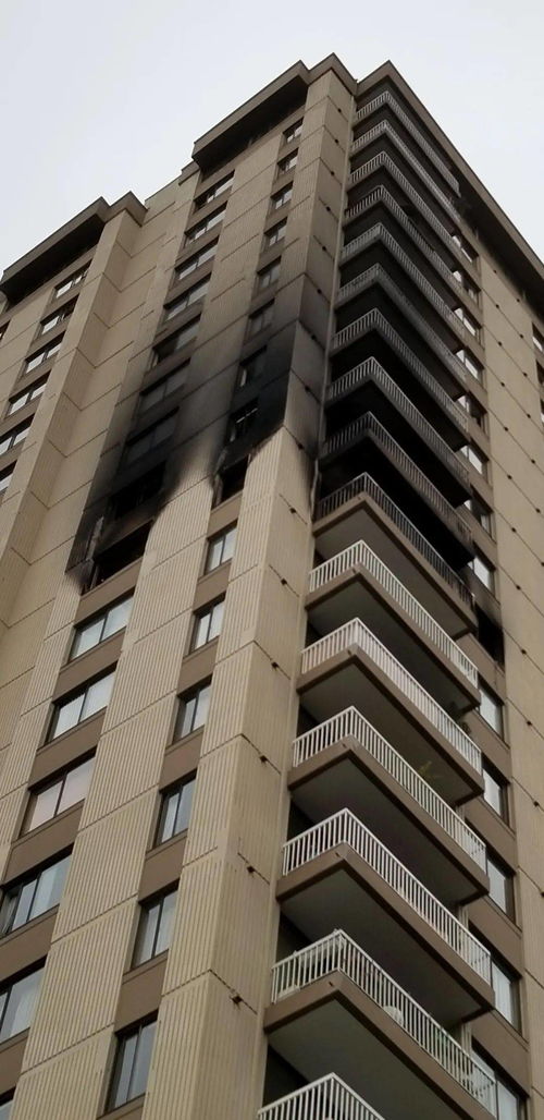 hotel cassino em bage_homa beta_igggamesw