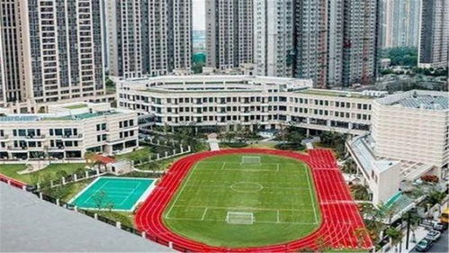 aposta futebol gratis_aplicativo major sport_aposta maxima