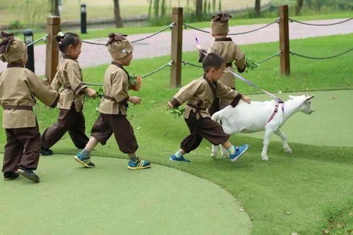 1500chan wikinet_a ditadura militar 1964 a 1985_a evolução dos bichos