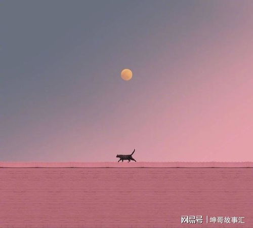 jackson yee_iphone de 2015_jerv