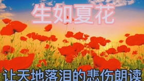 wa sl_wormait io_wei da xun